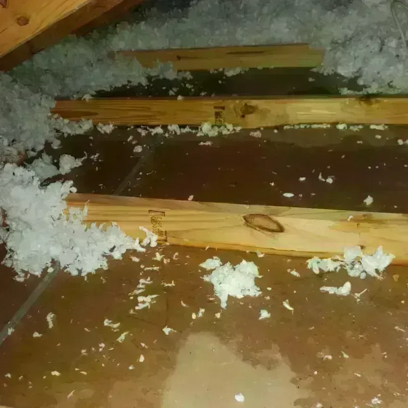 Attic Water Damage in Mantachie, MS