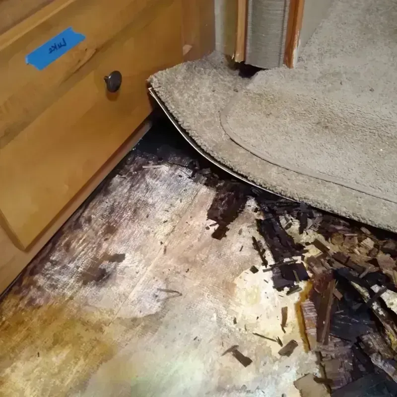 Wood Floor Water Damage in Mantachie, MS